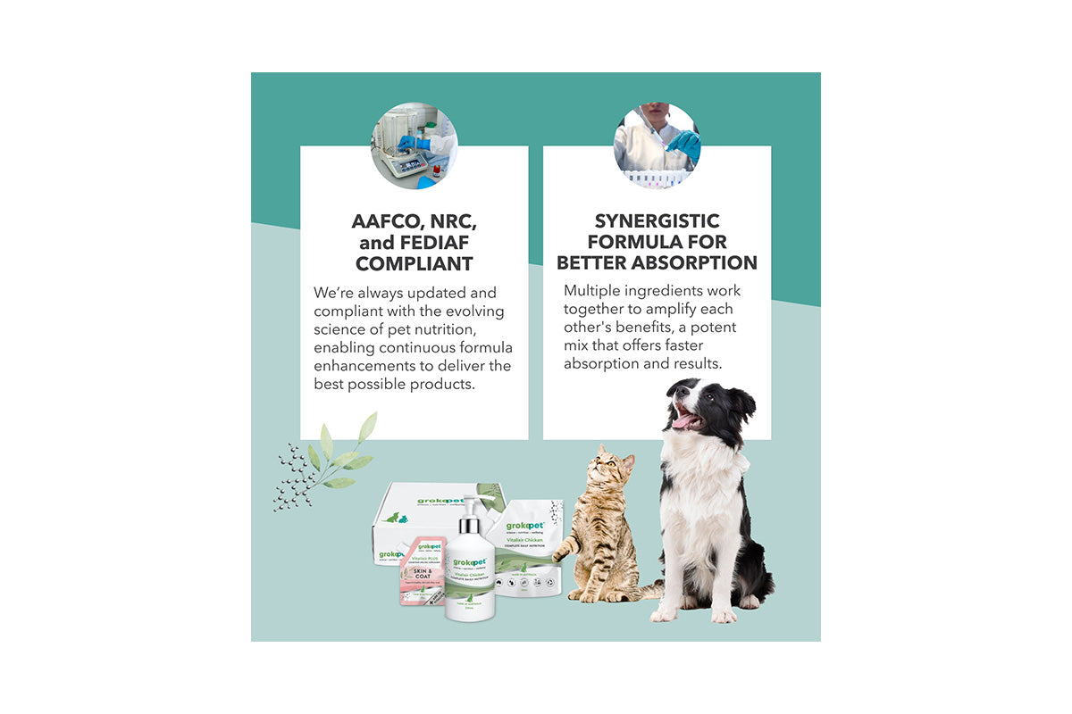 Skin & Coat For Dogs - Starter Pack - Vitalixir PLUS